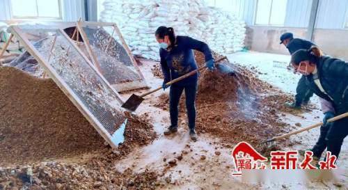 沃土富民路，生態高橋村 發展有機肥料產業，書寫鄉村振興新篇章