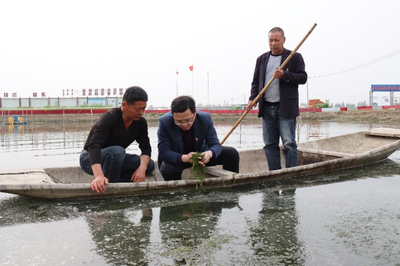 科技助力引領鄉(xiāng)村振興新發(fā)展 志愿服務激發(fā)水產養(yǎng)殖新動能