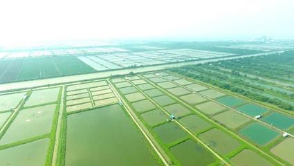 科技要聞-廣州市科學技術協(xié)會