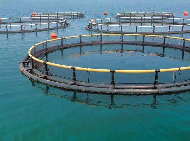 高考放榜!大廠大裁員,水產企業瘋狂搶人!年薪百萬不是夢!填志愿別錯過了水產專業