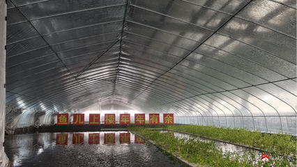 &ldquo;魚(yú)兒上樓、南魚(yú)北養(yǎng)&rdquo;成為現(xiàn)實(shí)--湖北聚源之漁生物工程技術(shù)引進(jìn)農(nóng)業(yè)工業(yè)化生產(chǎn)模式