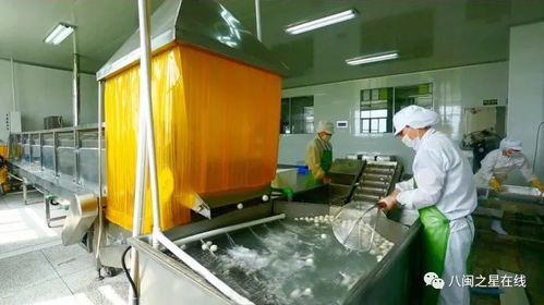 金獎(jiǎng)企業(yè) 旭煌食品 巧用科技助力 讓 魚丸 國際旅程更遠(yuǎn)