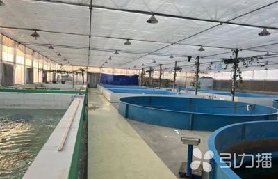 已達14家!蘇州新增6家水產類省級特色優勢種苗中心