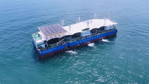 找到 最有價(jià)值 的魚