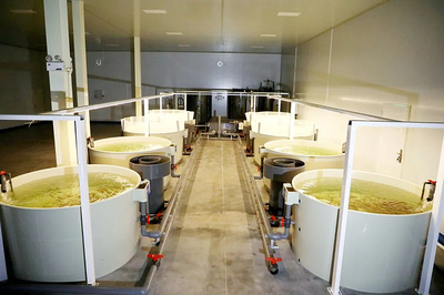 楊凌:&ldquo;海鮮陸?zhàn)B&rdquo;技術(shù)推動(dòng)水產(chǎn)養(yǎng)殖新革命