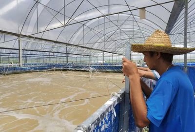 三名80后投資帆布工廠化養(yǎng)蝦,不換水、零排放,畝產(chǎn)3300斤!