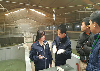 告別&ldquo;嗑藥&rdquo;魚!我國(guó)首個(gè)海水魚活疫苗投產(chǎn)應(yīng)用_新聞_央視網(wǎng)(cctv.com)