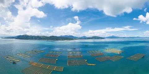 黃海水產研究所3項技術入選農業(yè)農村部2023年農業(yè)主推技術