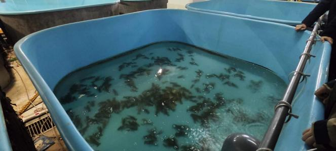 王春琳-夜深人靜更想你- 全民k歌,ktv交友社區(qū)