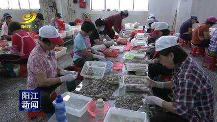 梁崇添:平岡水產養(yǎng)殖的技術先鋒