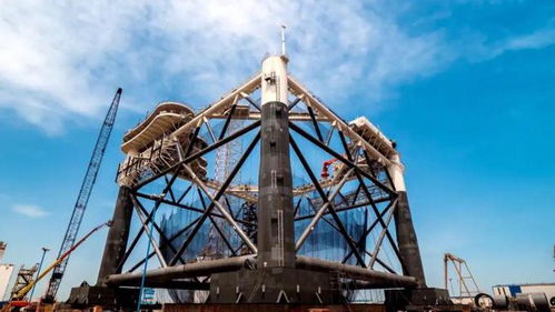 對話大國漁院士麥康森 用顛覆性技術生產新蛋白源,端穩水產養殖 金飯碗