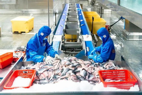 科技引領龍頭帶動,三水都市農業綻放光彩 奮戰百千萬 三水譜新篇 系列圖集