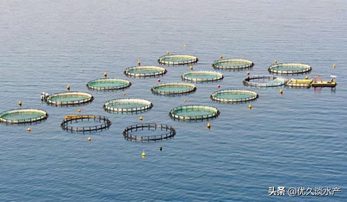 智慧水產(chǎn)養(yǎng)殖,開啟養(yǎng)殖模式新時代