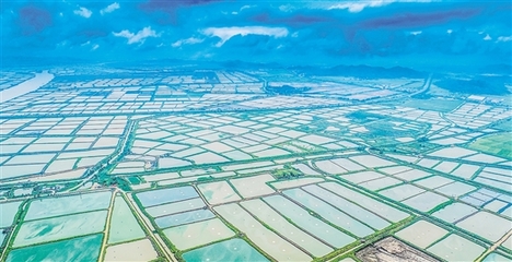 我市又一項省重點領域研發(fā)計劃項目落地實施 助推水產養(yǎng)殖朝工業(yè)化方向發(fā)展