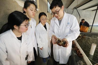 連云港贛榆建立國內首個短蛸繁育養(yǎng)成體系