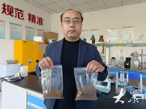 新型飼料助力養(yǎng)殖成本降低，農(nóng)家樂休閑觀光服務(wù)展現(xiàn)農(nóng)業(yè)新動能