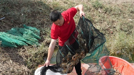 內陸海鮮的奇跡 一師阿拉爾市水產養殖技術創新引領市場熱潮