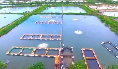 喜訊！斗門8家企業(yè)榮登省級(jí)水產(chǎn)養(yǎng)殖榜單，實(shí)力彰顯產(chǎn)業(yè)新高度